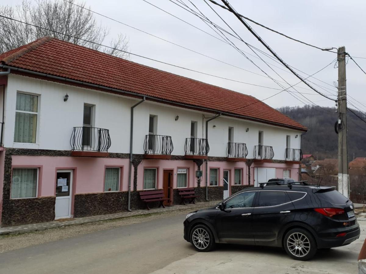 Pensiunea Lucica Sacelu Kültér fotó